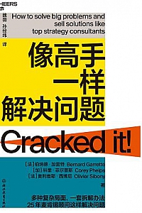 《像高手一样解决问题》