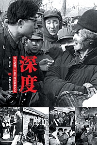 《深度:惊心动魄三十年国运家事纪实》