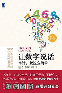 《让数字说话:审计,就这么简单》