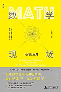 《数学现场:另类世界史》