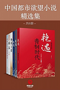 《中国都市欲望小说精选集》(共6册)