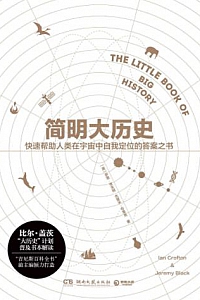《简明大历史》