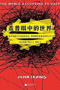 《盖普眼中的世界》