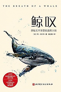 《鲸叹》