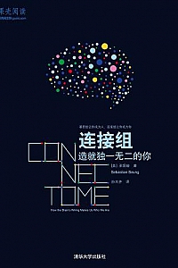 《连接组》