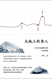 《大地上的亲人:一个农村儿媳眼中的乡村图景》