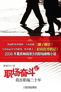 《职场奋斗记:我在职场二十年》