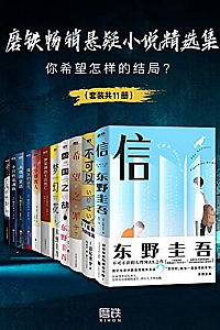 《磨铁畅销悬疑小说精选集》(套装共11册)
