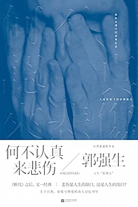 《何不认真来悲伤》
