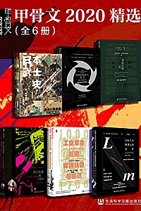 《甲骨文2020精选》(全6册)
