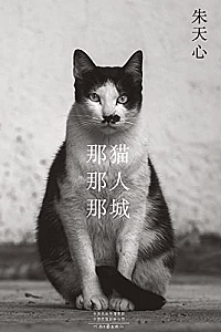 《那猫那人那城》