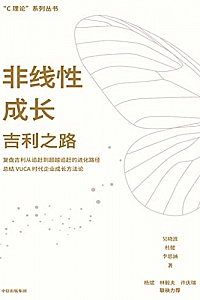 《非线性成长:吉利之路》