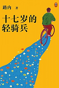 《十七岁的轻骑兵》