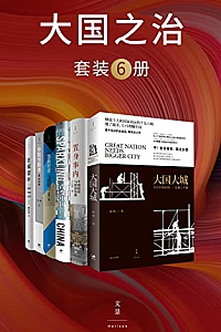 《大国之治》(套装6册)