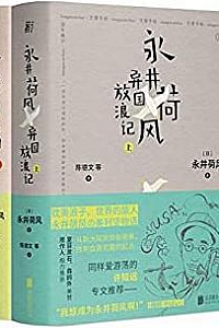 《异国放浪记》(上下册)