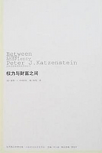 《权力与财富之间》