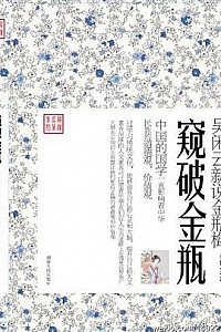 《窥破金瓶:吴闲云新说金瓶梅》