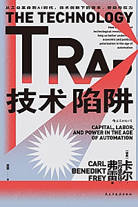 《技术陷阱》