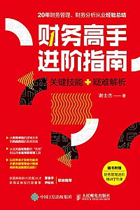 《财务高手进阶指南》