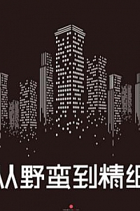 《从野蛮到精细:中国房地产的未来十年》