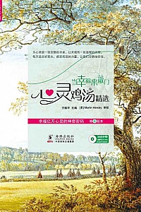 《当幸福来敲门:心灵鸡汤精选 》