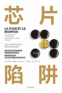 《芯片陷阱》