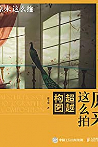 《原来这么拍:超越构图》