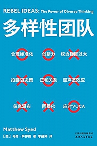 《多样性团队》