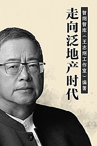 《走向泛地产时代》