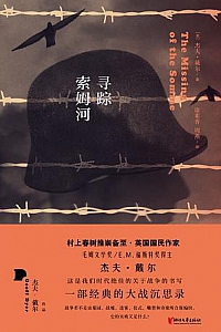 《寻踪索姆河》