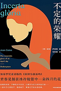 《不定的荣耀》