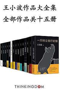 《王小波作品大全集》(套装共15册)