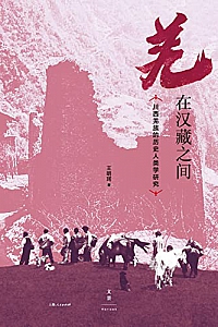 《羌在汉藏之间:川西羌族的历史人类学研究》