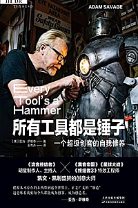 《所有工具都是锤子》