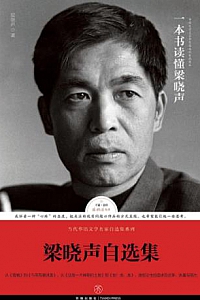 《梁晓声自选集》