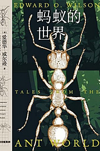 《蚂蚁的世界》