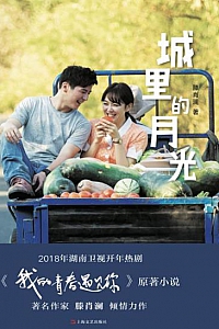 《城里的月光》