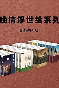 《晚清浮世绘系列小说》(套装共40册)