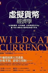 《虚拟货币经济学》