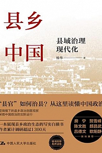 《县乡中国:县域治理现代化》