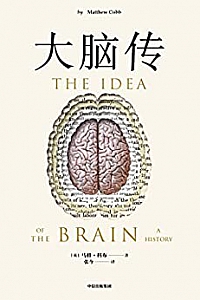 《大脑传》