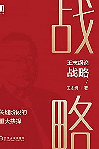 《王志纲论战略:关键阶段的重大抉择》