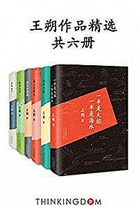 《王朔作品精选》(套装共6册)