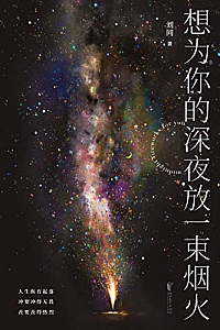 《想为你的深夜放一束烟火》