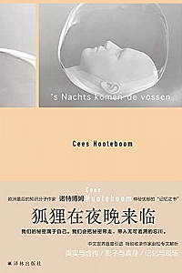 《狐狸在夜晚来临》