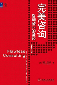 《完美咨询》