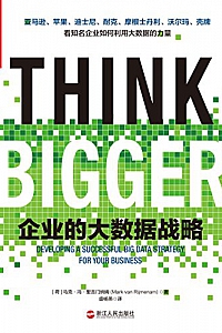 《企业的大数据战略》