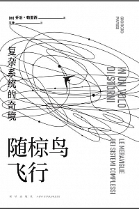 《随椋鸟飞行 : 复杂系统的奇境》