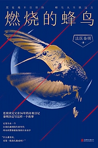 《燃烧的蜂鸟》