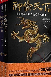《神偷天下》